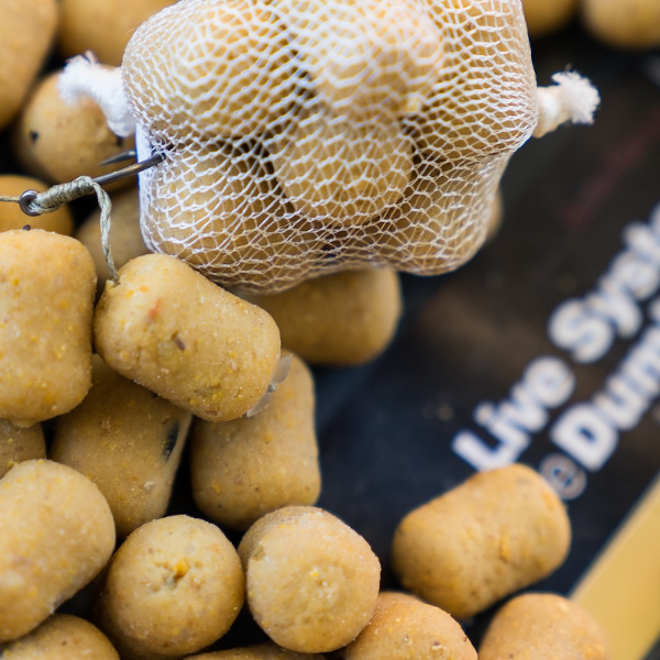 CC Moore Live System Shelf Life Dumbells 1kg 3 CC Moore Live System Shelf Life Dumbells 1kg