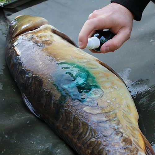 Gardner Intensive Care Carp Spray 7 Gardner Intensive Care Carp Spray - Image 5