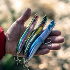 Rapala Max Rap Walk N Roll -Game Fishing Shop ipwflfuh637441591694179223