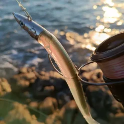 GT-Bio Kamaleo Sandeels 155 Combo 9 GT-Bio Kamaleo Sandeels 155 Combo -Game Fishing Shop jec4dkpr638133440192837747