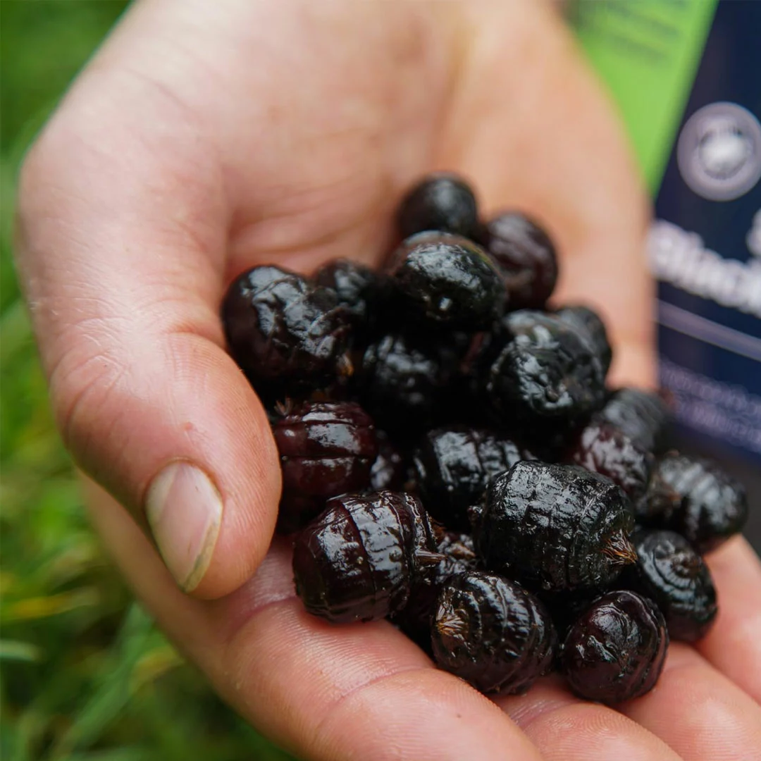 CC Moore Intense Particles 4 CC Moore Intense Particles - Image 2