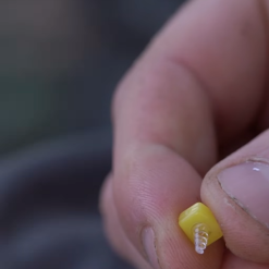 Nash Sweetcorn Screws -Game Fishing Shop jzca3c0b637540873508795071