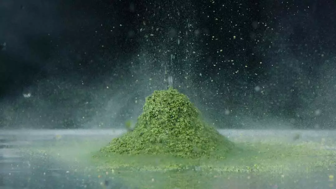 Daiwa Advantage Baits All Round Groundbait 1kg 4 Daiwa Advantage Baits All Round Groundbait 1kg - Image 2