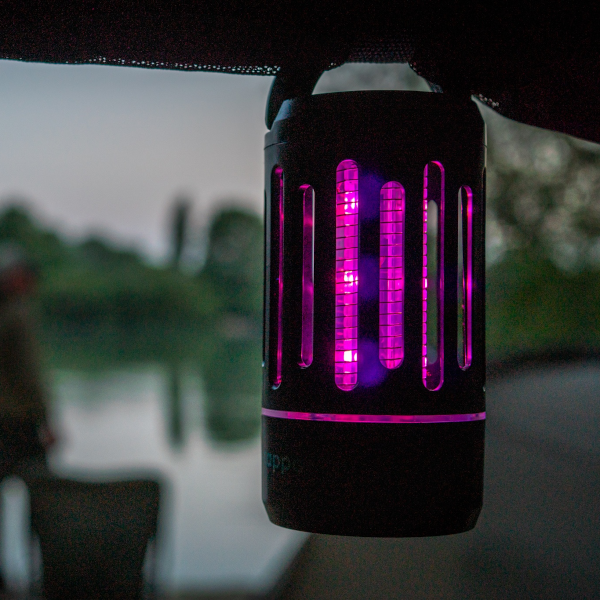 Wolf International Wolf Mozzi-Zappa 4 Wolf International Wolf Mozzi-Zappa - Image 2