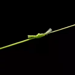 ESP Spod Braid -Game Fishing Shop kwgcs4m0638037714691347963