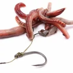 Nash Maggot Clips 13 Nash Maggot Clips -Game Fishing Shop lq5wsbc1635730741962534383