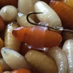 Enterprise Tackle Enterprise Caster Bait Bands -Game Fishing Shop lwkjn2cr637582293639983374