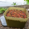 Korum Bait Tubs 1 Korum Bait Tubs -Game Fishing Shop lxgp4sce637974579506461557