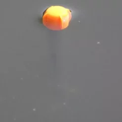 Drennan Shorty Pellet Wagglers -Game Fishing Shop p02pkqqi635672805499243595