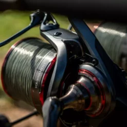 Daiwa 20 Tournament Basia 45SCW QD Reel 16 Daiwa 20 Tournament Basia 45SCW QD Reel -Game Fishing Shop p0vgs053638030636449423051
