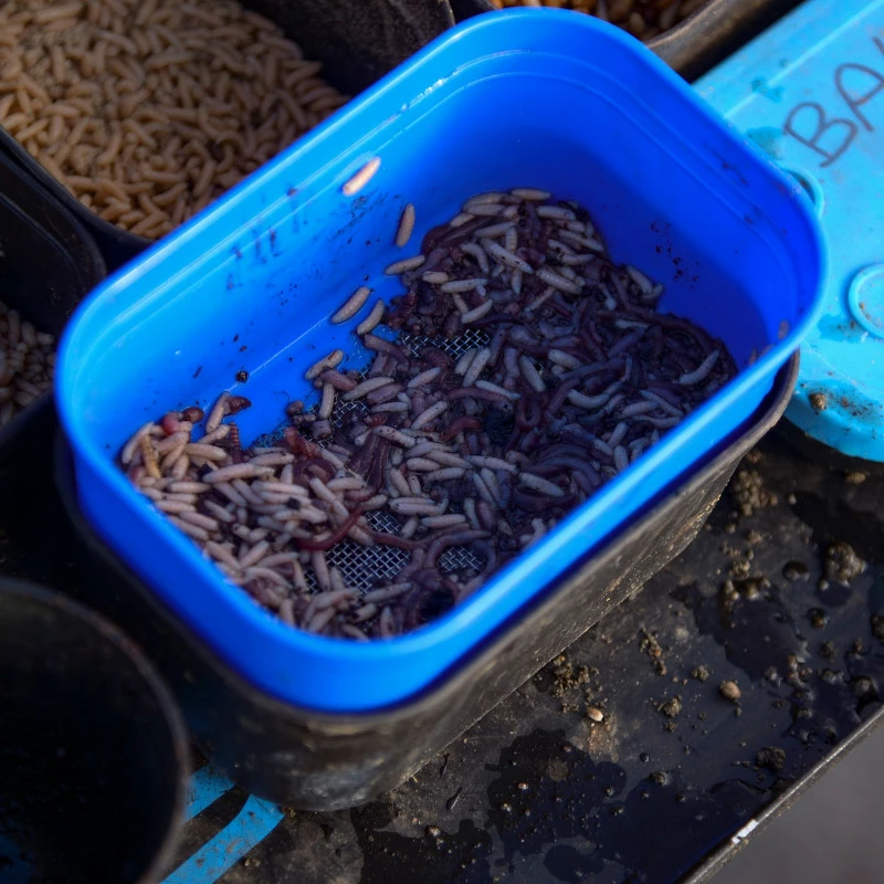 Cresta Bait Strainer 4 Cresta Bait Strainer - Image 2