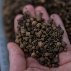 Munch Baits Spod Mix Pellets -Game Fishing Shop q4qutvfs638106641180320762