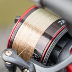 Daiwa N’zon Sinking Mono -Game Fishing Shop qxtlbbjg637946221249944827