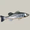 Gaby UK Gaby Sea Bass Pillow -Game Fishing Shop rxtt4rxh637819061313965167