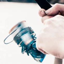 Shakespeare Superteam FR Feeder Reel -Game Fishing Shop scxsezyq637539050270361198