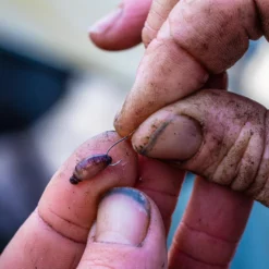 Guru Kuranku Barbed Hooks -Game Fishing Shop shtsz1dy637697125161346203