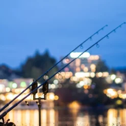 Nash Siren R4 Bite Alarm Sets -Game Fishing Shop sib32t4g638143843565869706