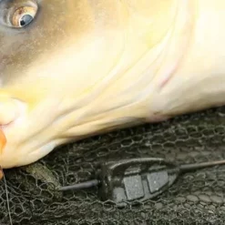 Korda Bait Up Method Feeders 12 Korda Bait Up Method Feeders -Game Fishing Shop sp1hc5z4635981236112984168