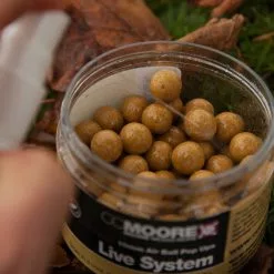 CC Moore Live System Booster Liquid -Game Fishing Shop tbmd3y1t636869675117821864