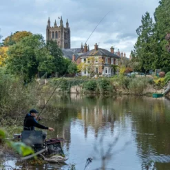 Daiwa Tournament SF Mono 300m -Game Fishing Shop thiv5uam638119628320540991