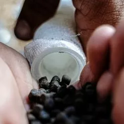 Munch Baits Bio Marine Pellets -Game Fishing Shop tul0m2bm638097396220034999