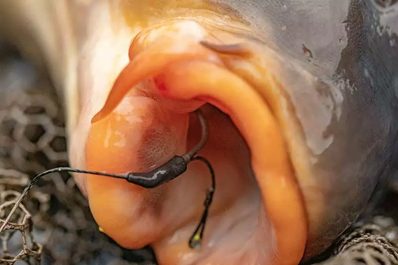 Fox Edges Tungsten Flippas 5 Fox Edges Tungsten Flippas - Image 3