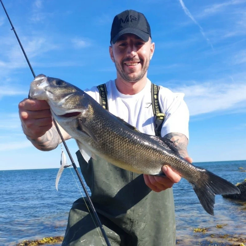 HTO Slim Snax 5 HTO Slim Snax - Image 3