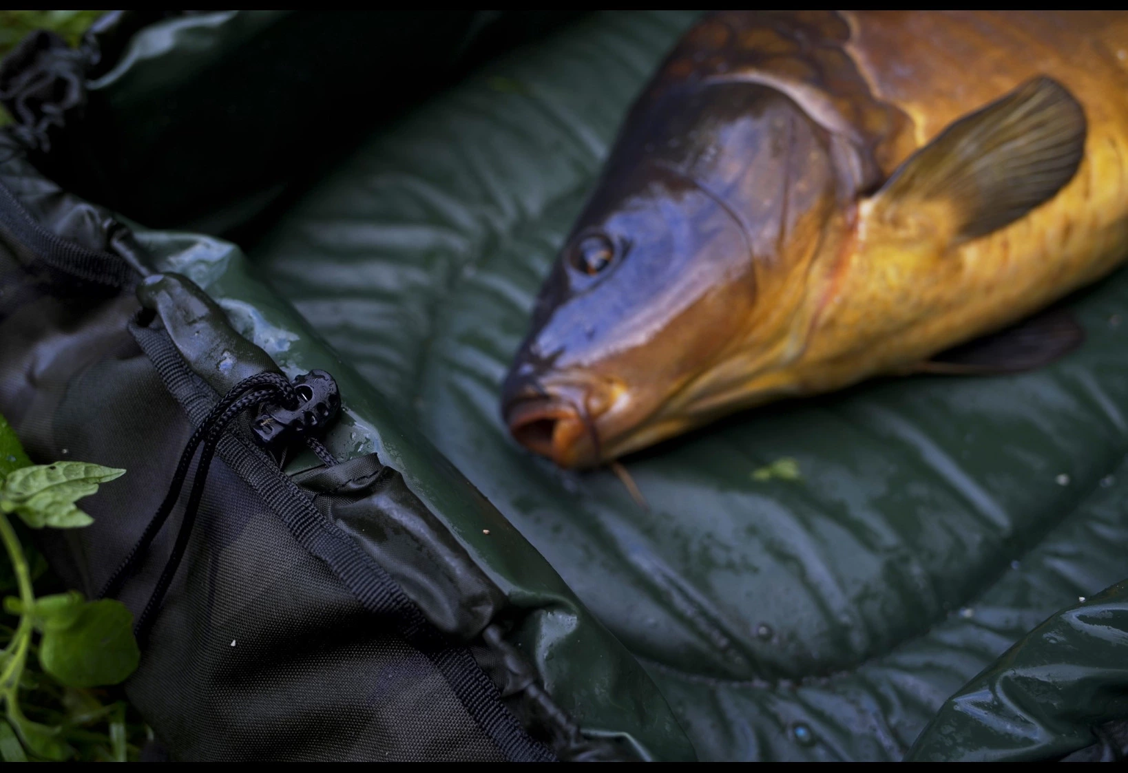 ESP Quickdraw Mat 4 ESP Quickdraw Mat - Image 2