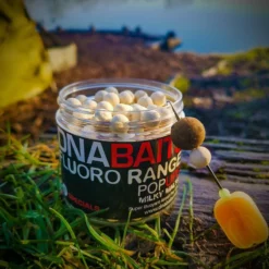 DNA Baits Fluoro Pop Ups 18 DNA Baits Fluoro Pop Ups -Game Fishing Shop va2e40nq638140425620266359