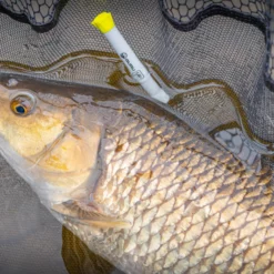 Guru Duel 600 Specimen Net -Game Fishing Shop vloqjv3a637418920202934488