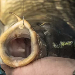 Preston Innovations KKM-B Barbless Hooks -Game Fishing Shop vxuew4rm636446989888226761