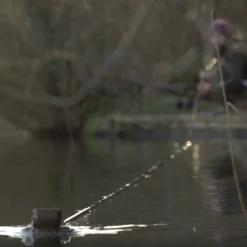 Nash Bushwhacker Baiting Pole System -Game Fishing Shop w1fsits2637057723660255674