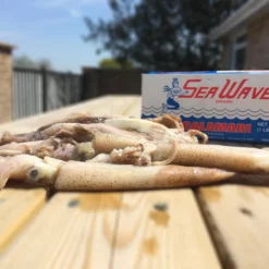 Sea Wave Frozen Squid