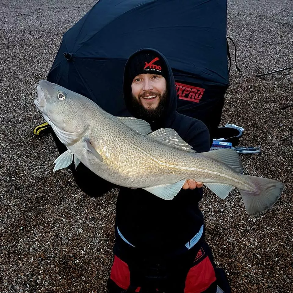 TronixPro Beach Brolley Shelter 6 TronixPro Beach Brolley Shelter - Image 4