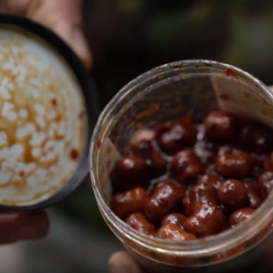 CC Moore Squid Hookbaits -Game Fishing Shop wrp0e4t3637116581796836877