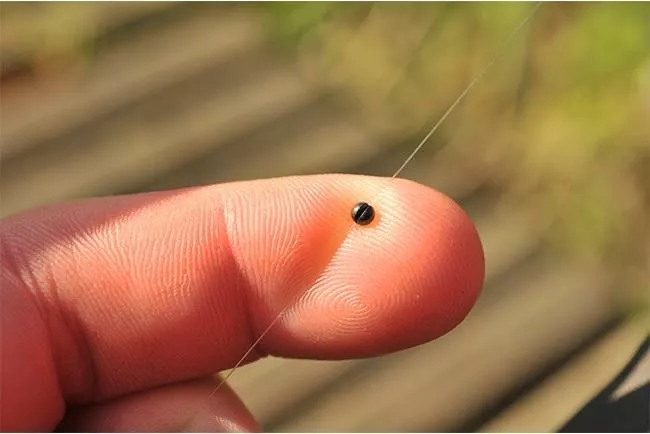 Guru Micro Shot 6 Guru Micro Shot - Image 4