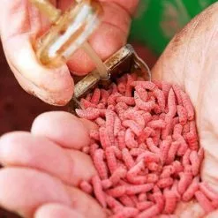 Drennan Bolt Rig Feeders -Game Fishing Shop yapfxdr2636676741237798773