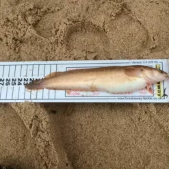 Ian Golds Match Measures -Game Fishing Shop yglcibjx635905420754771960