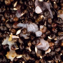 Nash Scopex Squid Hemp 7 Nash Scopex Squid Hemp -Game Fishing Shop z4gdrrr0637787086494889392