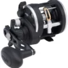 Penn Rival Level Wind Reels -Game Fishing Shop zu3sxzbd636120384205046904